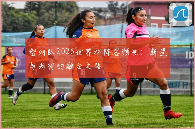 智利队2026世界杯阵容预测：新星与老将的融合之路