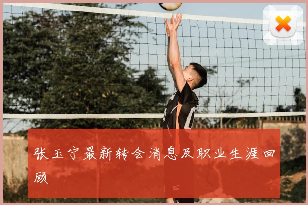 张玉宁最新转会消息及职业生涯回顾