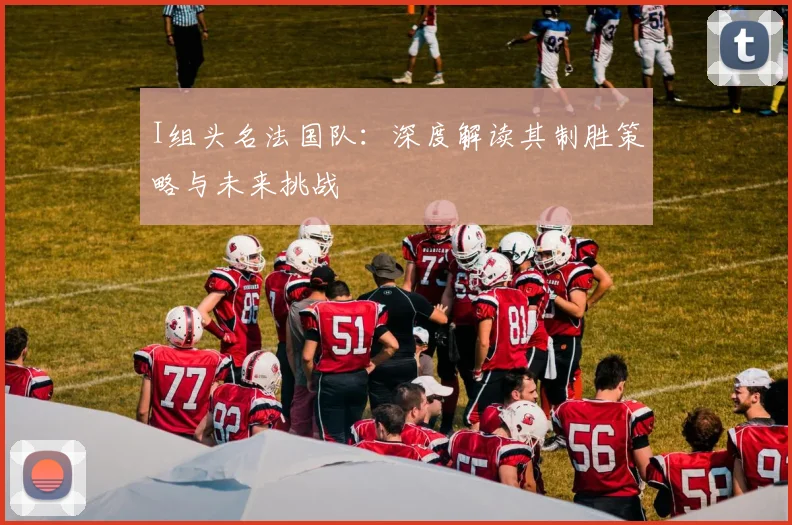 I组头名法国队:深度解读其制胜策略与未来挑战