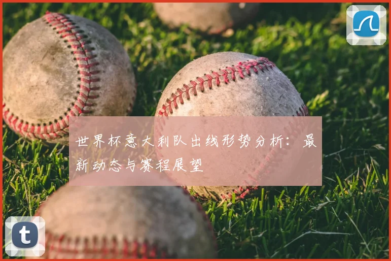 世界杯意大利队出线形势分析：最新动态与赛程展望
